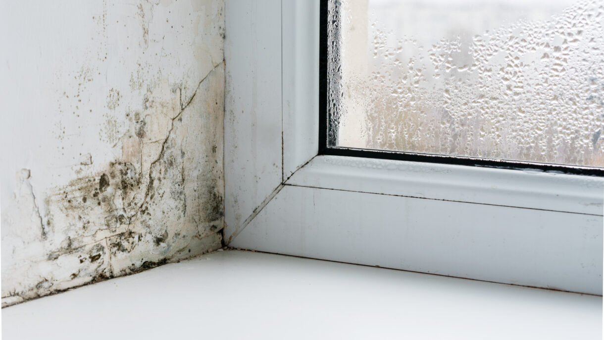 Condensation on window with mould forming in corner