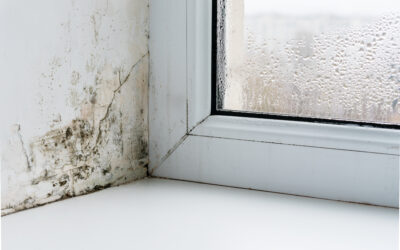 Condensation on window with mould forming in corner