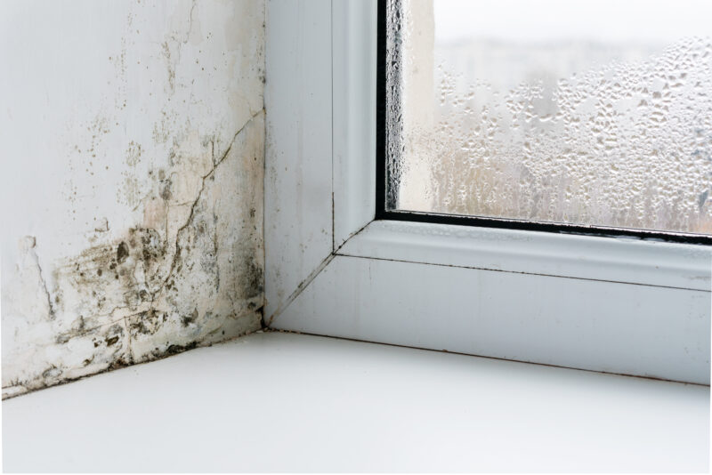Condensation on window with mould forming in corner